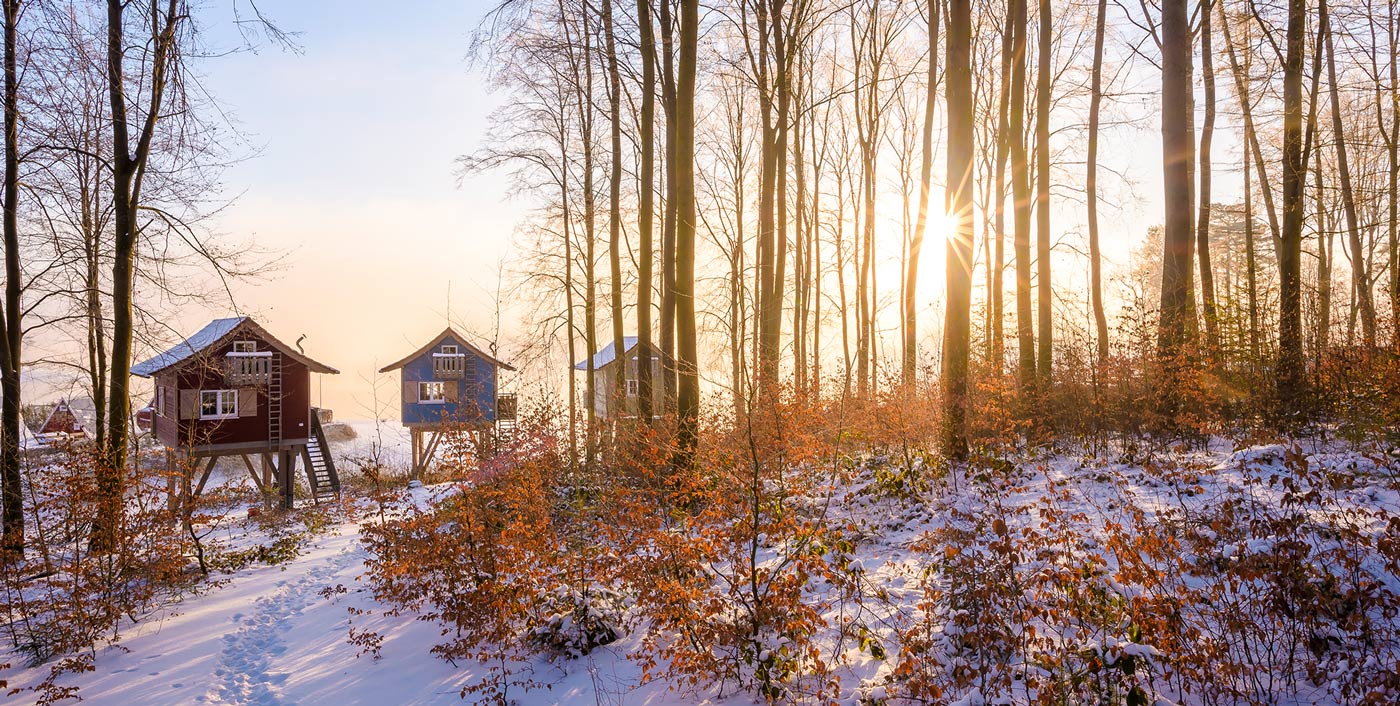 baumhaus winter sorpesee