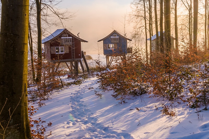 Baumhaeuser sorpesee im winter